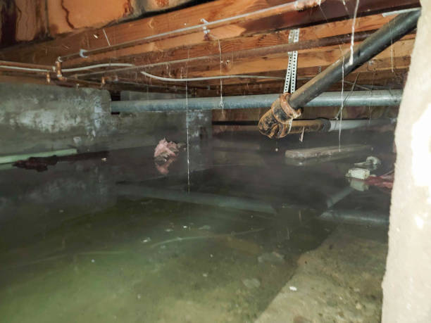 Best 24-hour water damage restoration  in Lufkin, TX