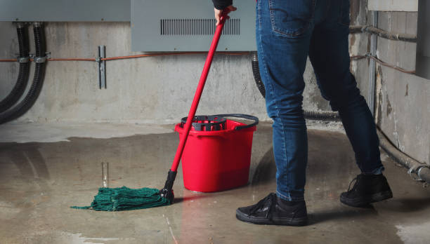 Best Flooded house restoration  in Lufkin, TX