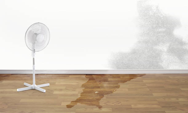 Professional Water damage restoration in Lufkin, TX