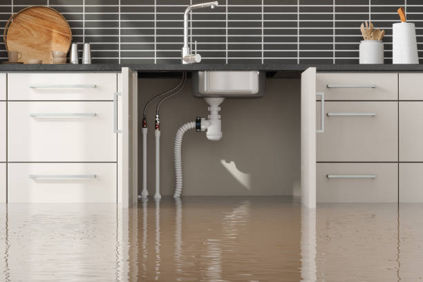 Best Local water damage restoration  in Lufkin, TX