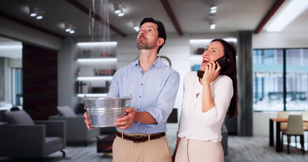 Best Flood damage cleanup  in Lufkin, TX